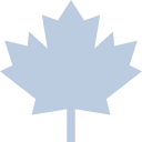 Simple light blue maple leaf icon with sharp points and symmetrical shape.