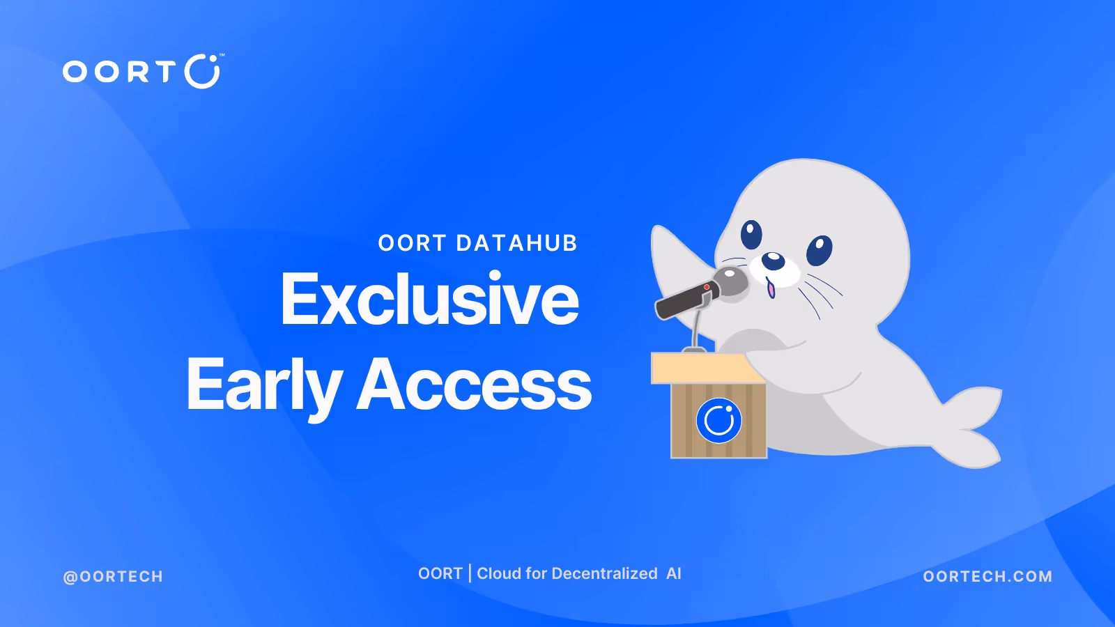 OORT DataHub Commercial Version: Exclusive Early Access
