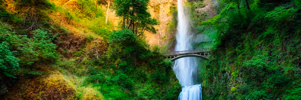 ICF Oregon