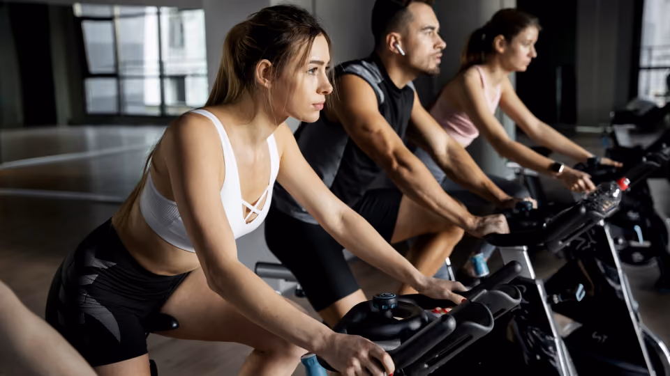 Gym Membership Software