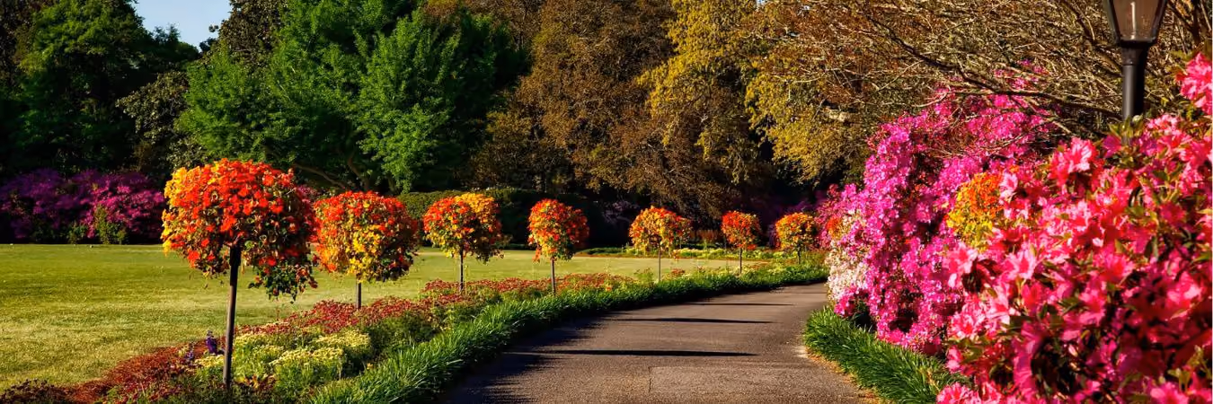Castle Bromwich Hall and Gardens Trust