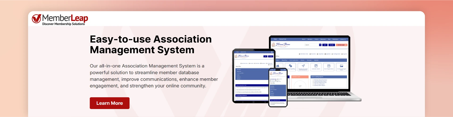 MemberLeap member engagement software interface for association management and communication tools.