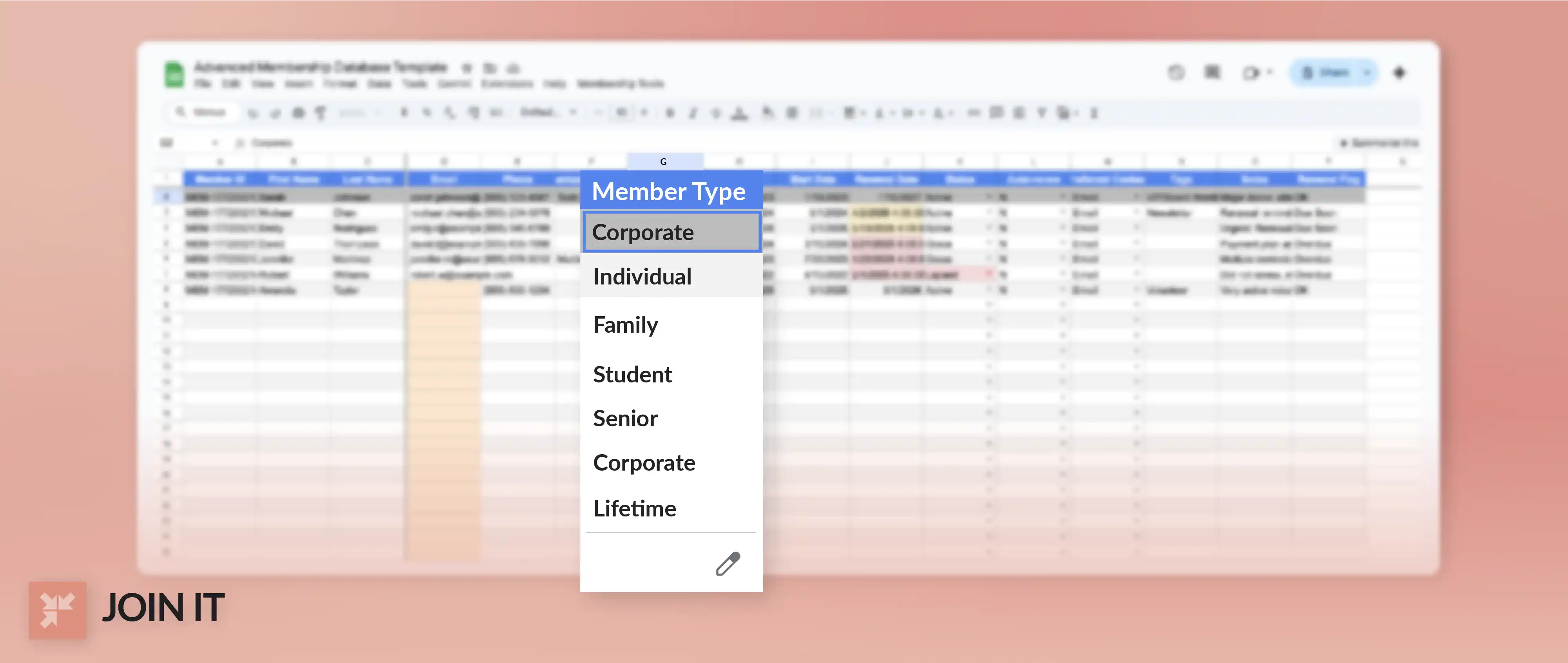 Join It membership database sheet in Excel with member type dropdown options for organized records.