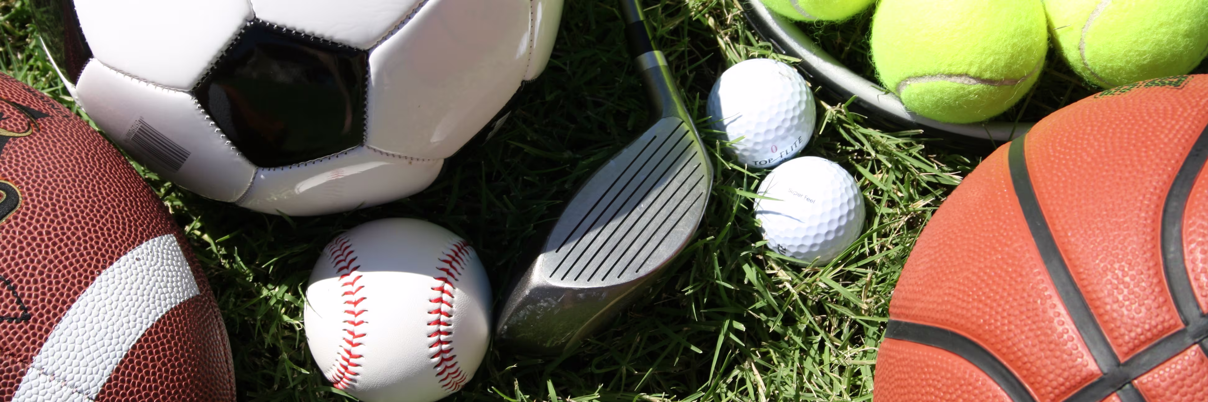 The Seaside School Athletic Booster Club, Inc. header image