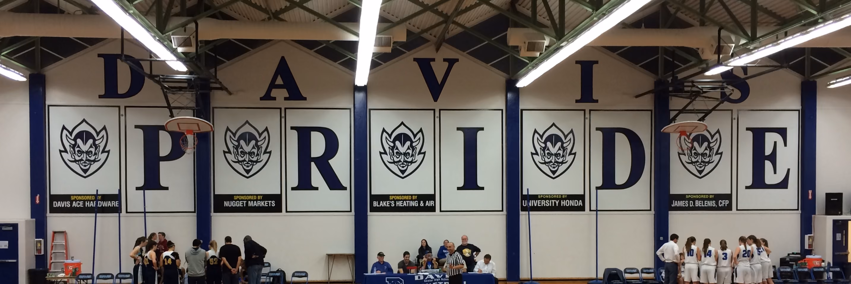 Davis Blue Devil Athletic Boosters header image