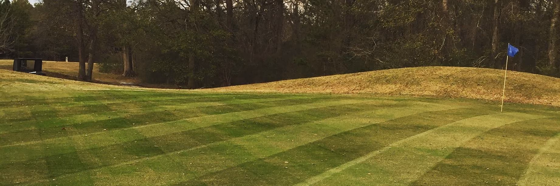 Pine Hills Country Club header image