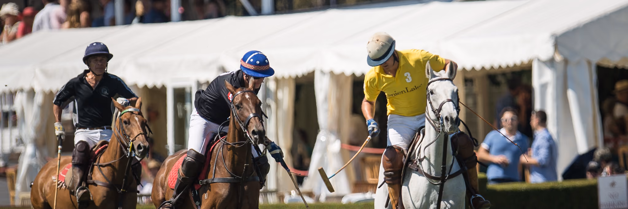 Ham Polo Club Ltd header image