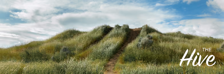 The Hive: A Center for Contemplation, Art, and Action header image