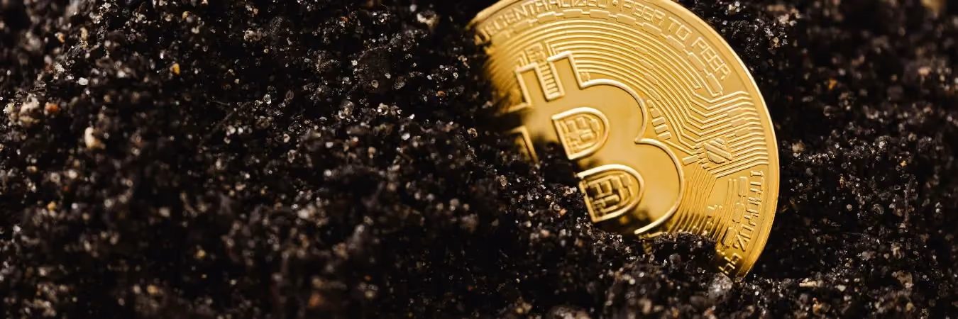 CMSSA - Crypto Mining & Staking Sustainability Association header image