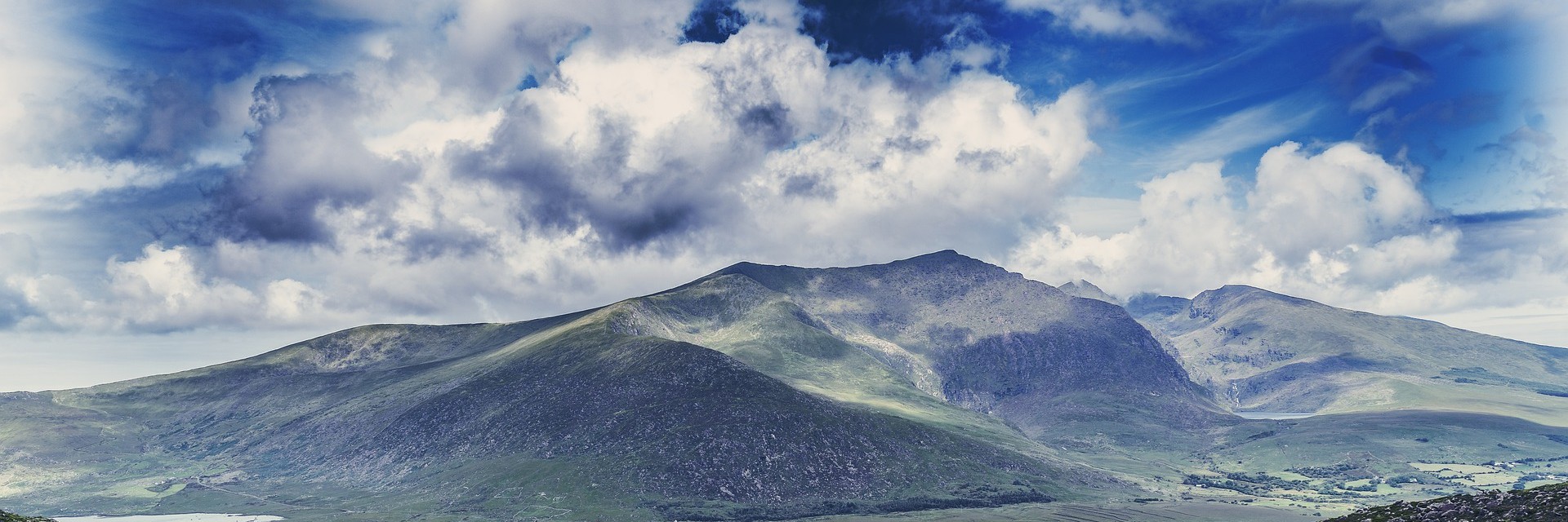 Irish American Bar Association of New York header image