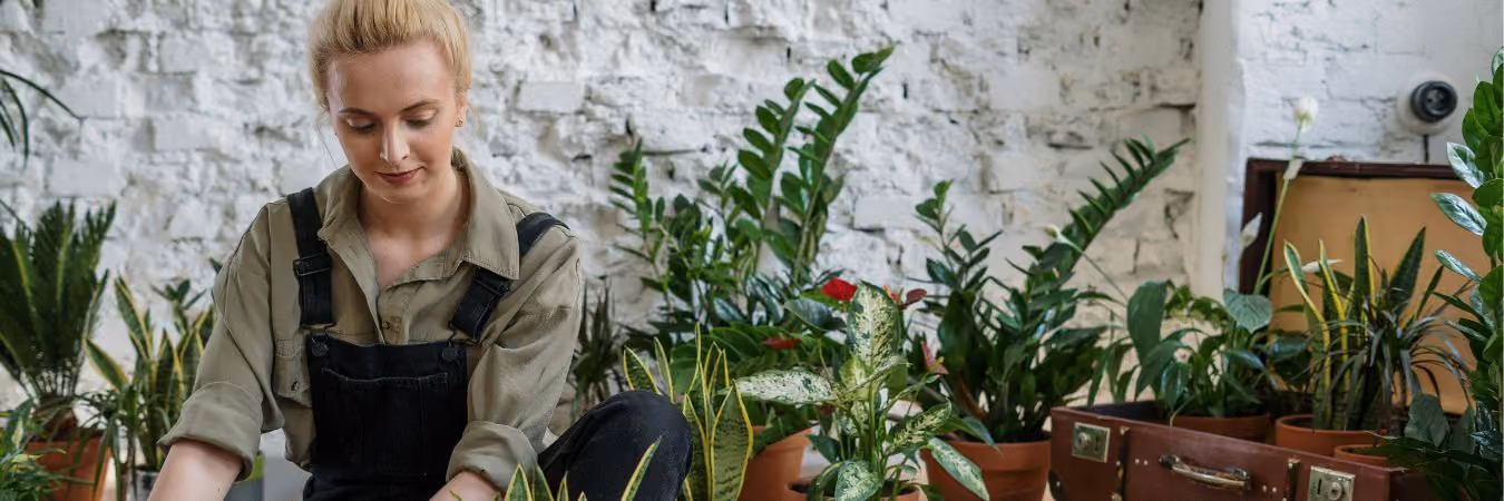 Coastal Master Gardener Association