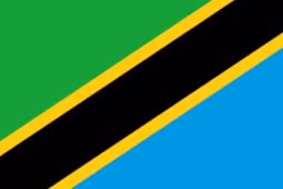 Tanzania flag