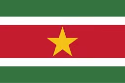 Suriname flag