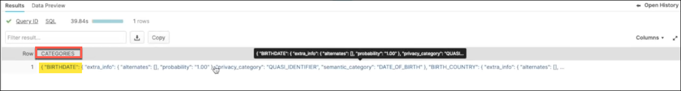 Snowflake data classification