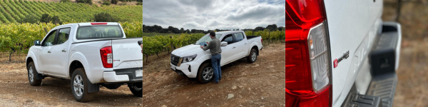 Contenido del artículo