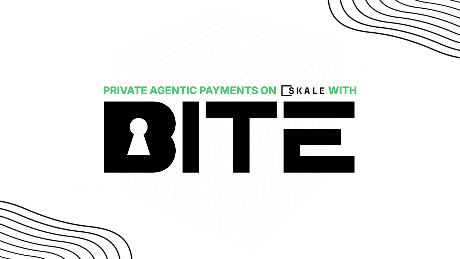 BITE Protocol: Bringing Commerce-Level Privacy to Agentic Payments on SKALE 