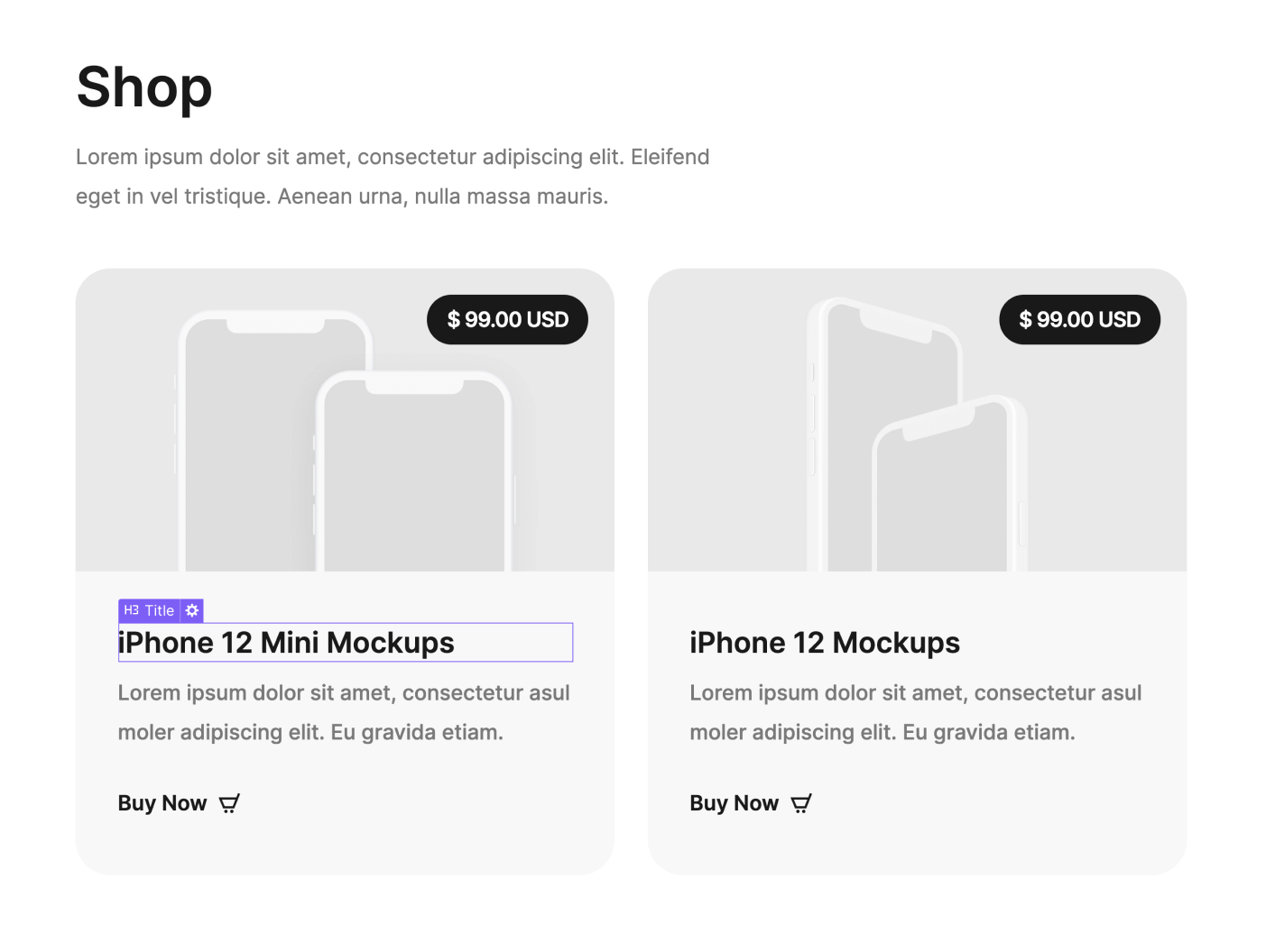 eCommerce Products - Portfolio Z Webflow Template