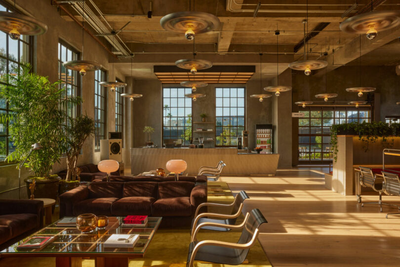 A modern, sunlit lounge with sofas, armchairs, large windows, hanging lights, and a central bar counter surrounded by plants and industrial decor—perfect for unwinding or gathering for the Friday Five.