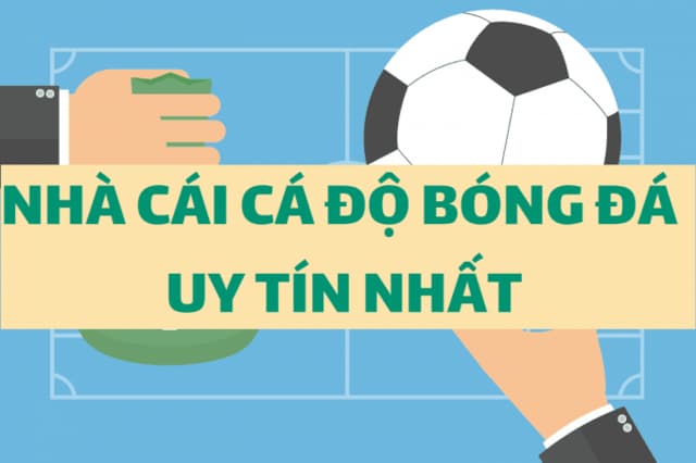 Top 10 Trang Cá Cược Bóng Đá Uy Tín Nhất 2022