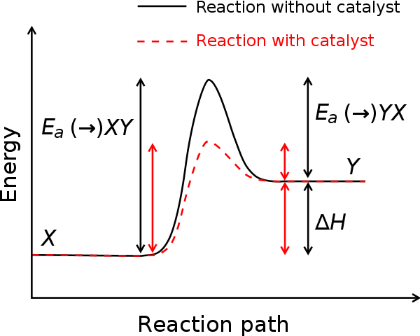 a reaction with and without a catalyst