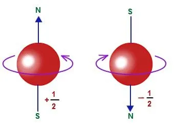 Hydrogen, right, has an odd number of protons. It has an overall spin of 1/2