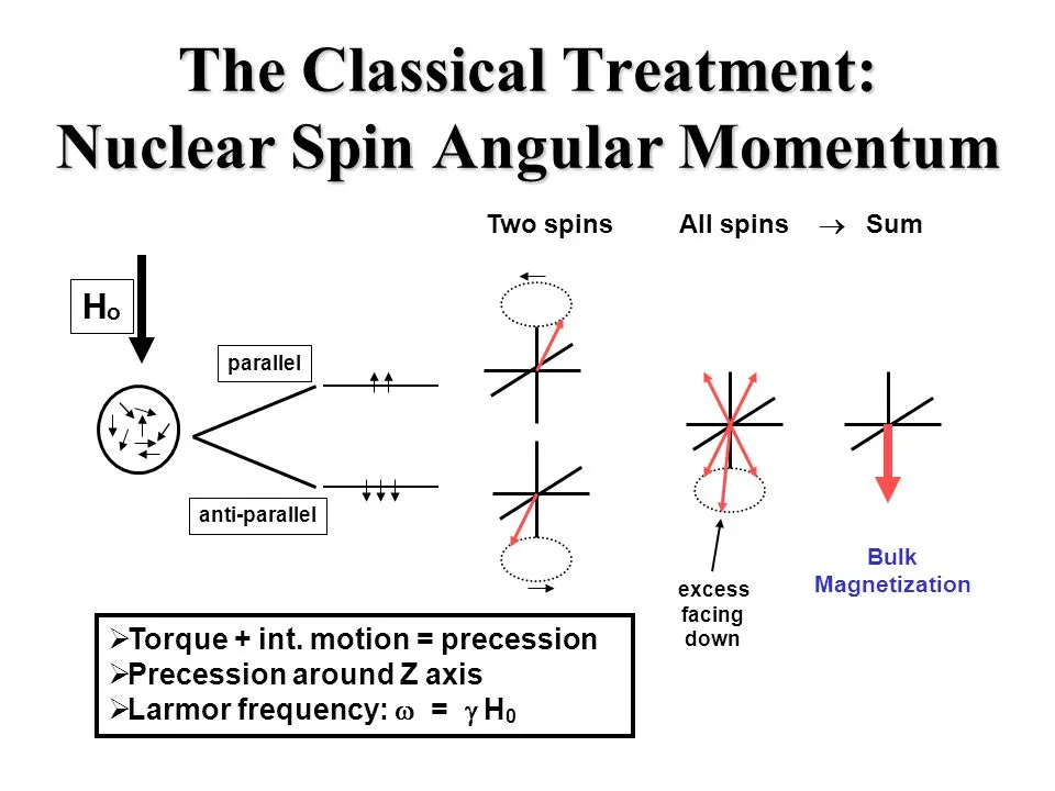 Nuclei with spin that are placed in an external magnetic field can take two states: parallel (spin-aligned, left)