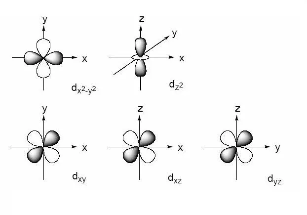 The shape of the dxy orbital is like a cloverleaf in the xy plane.Shape of 3dxy orbital