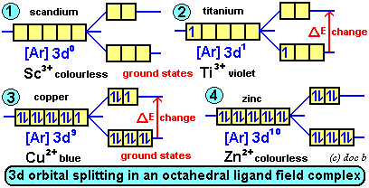 The Zn2+ ion has a completely filled 3d sub-shell, so no splitting takes place between the 3d orbitals