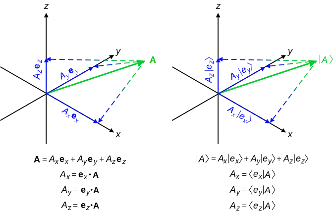 The vector’s components