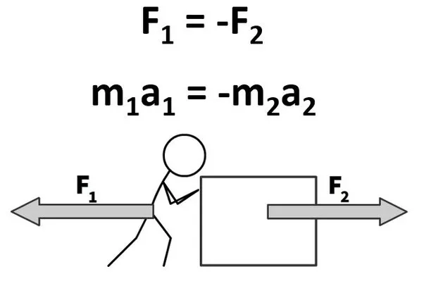 When the objects collide, they exert a force on each other, causing them to stop for an instant