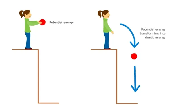 After this, potential energy goes on to decrease as it is converted into kinetic energy of the falling frog