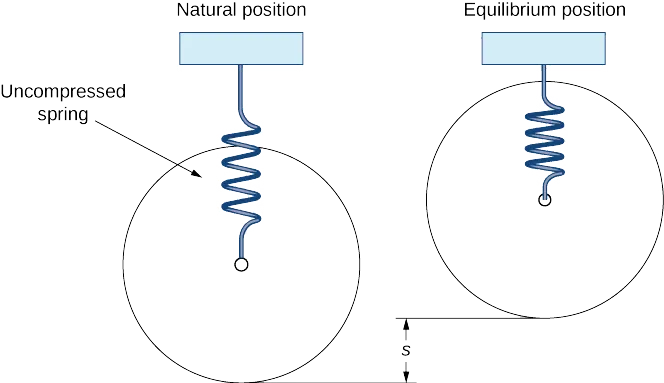 A mass-spring system oscillating at its natural frequency