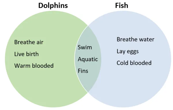 Venn Diagrams: Uses, Examples, and Making - Statistics By Jim