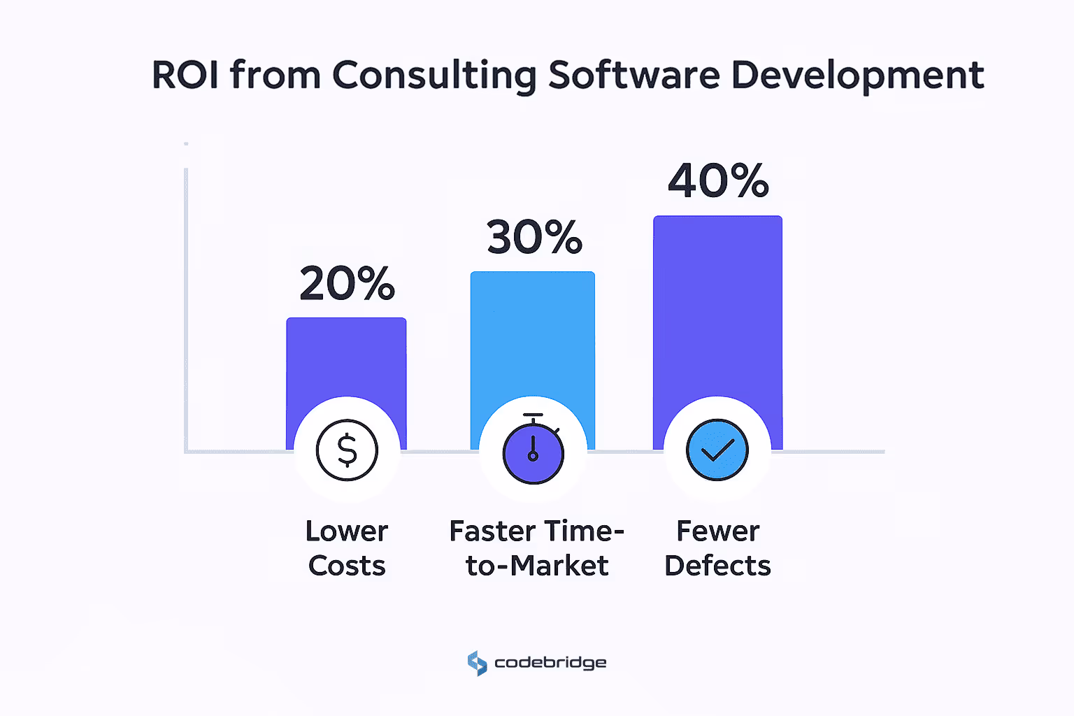 ROI from Consulting Software Development