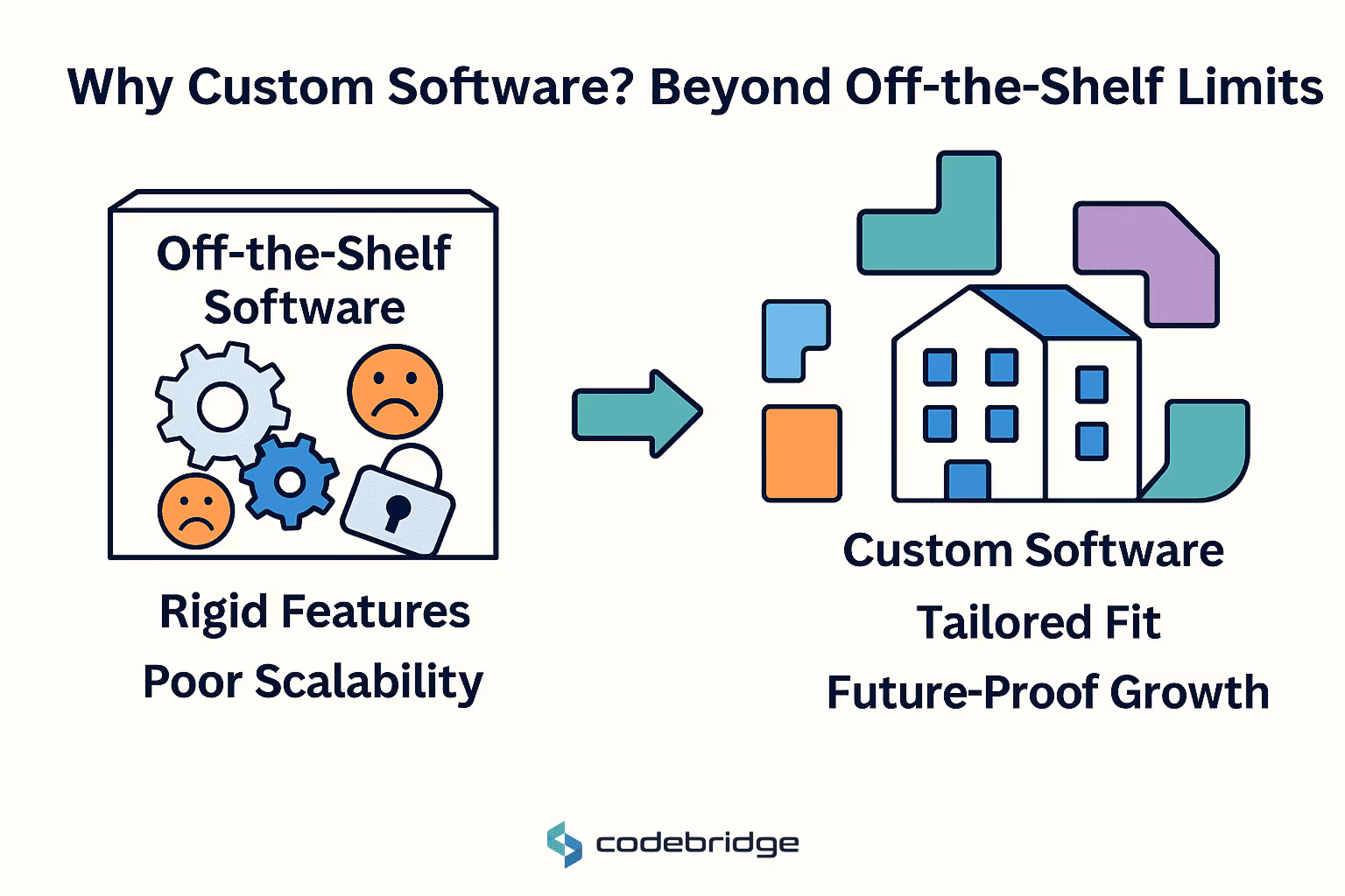 Why Choose Custom Software Development?