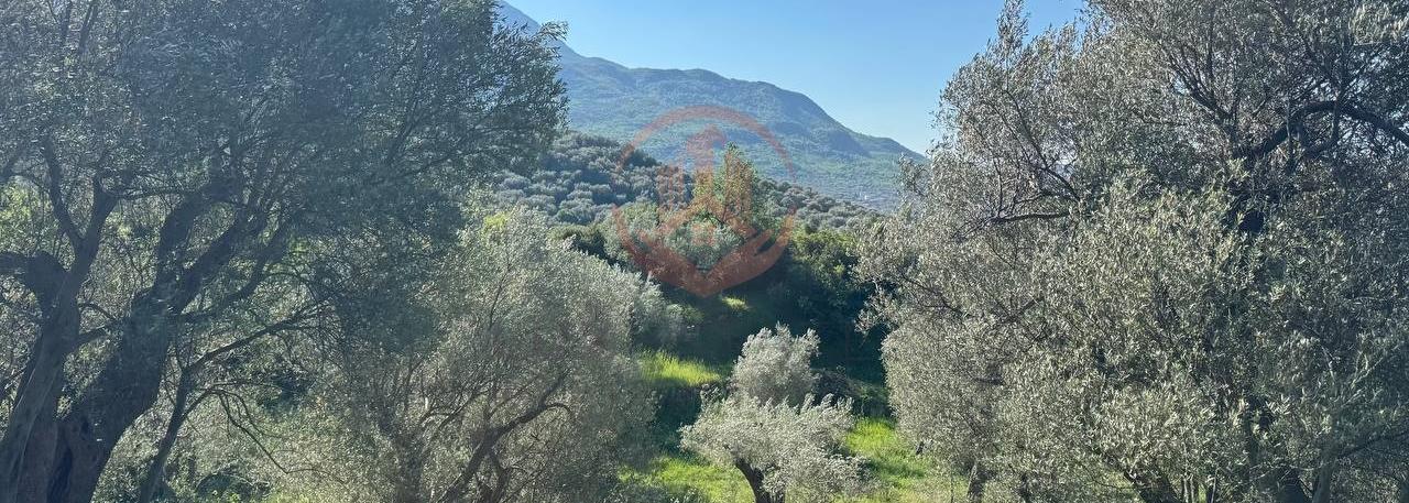 Na prodaju zemljište u Baru površine | BR-Z-001