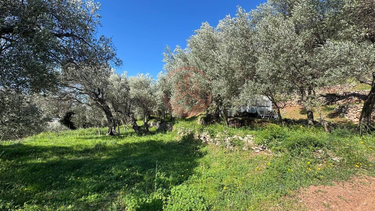 Na prodaju zemljište u Baru površine | BR-Z-001