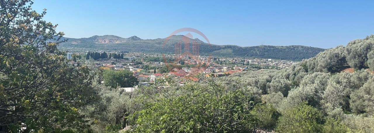 Na prodaju zemljište - maslinjak u Baru površine | BR-V-001