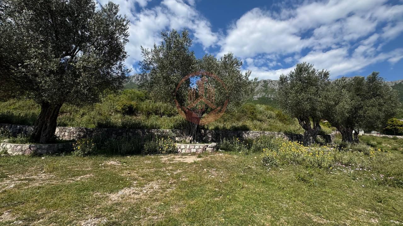 Na prodaju prostrano zemljište površine 2800 m2 u Zupcima, | BR-H-003