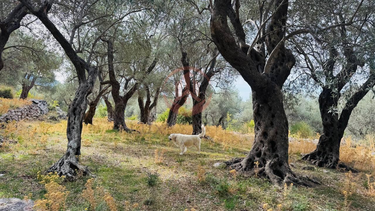 Na prodaju zemljište sa prelijepim pogledom na more u Baru, | BR-Z-011