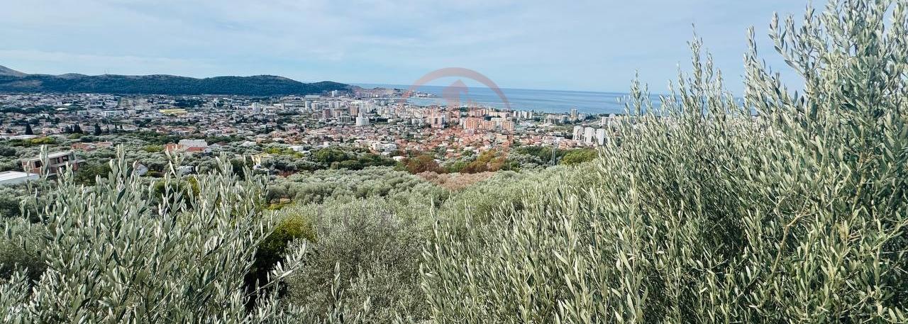 Na prodaju maslinjak površine | BR-V-002