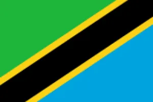 a blue, green, and yellow striped background - Tanzania flag