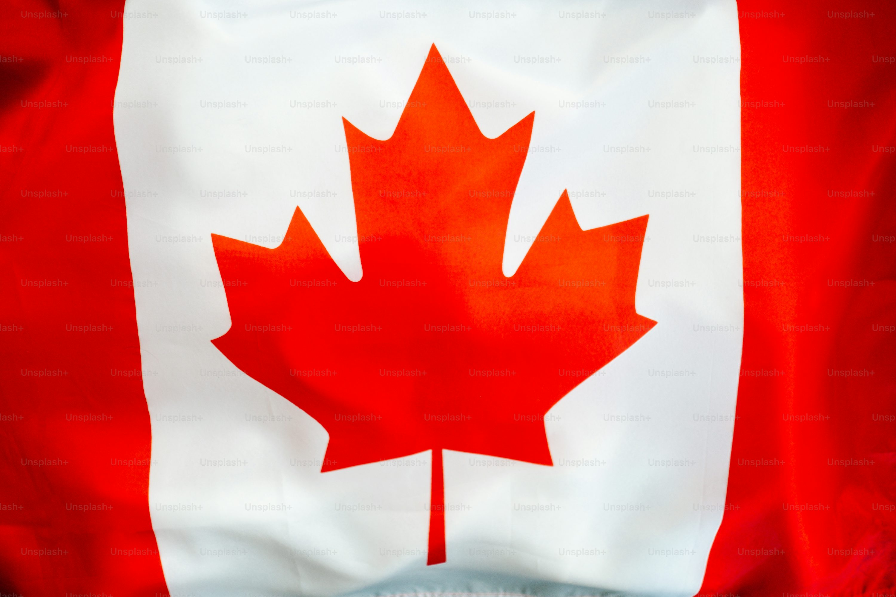 Bendera