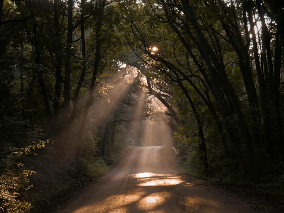 How Can I Access Lasting Change?