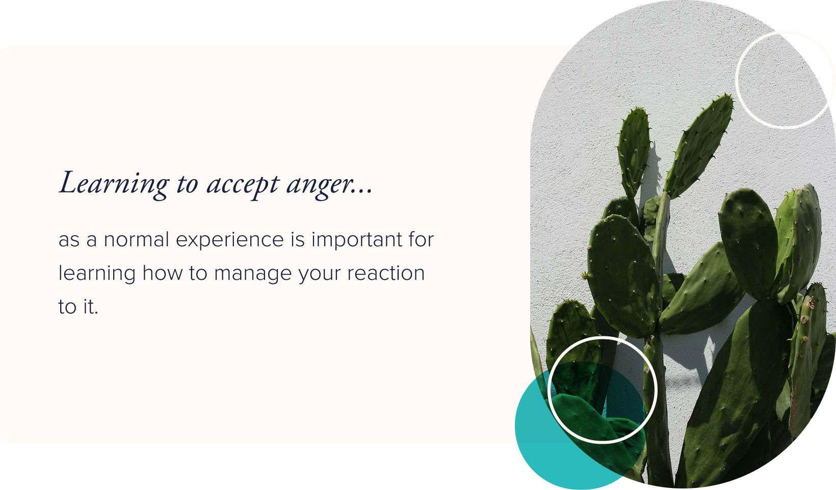 Image: A paddle cactus against a white wall. Text: Learning to accept anger as a normal experience is important for learning how to manage your reaction to it.