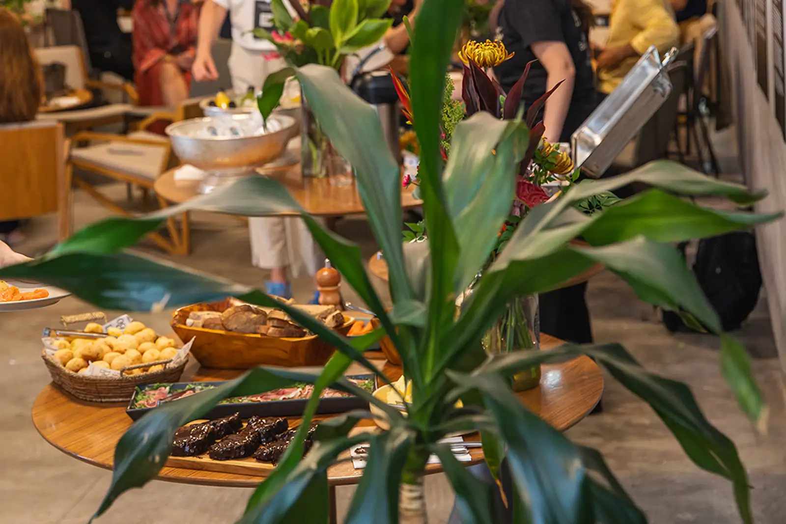 Botanikafé Eventos - Café Bienal