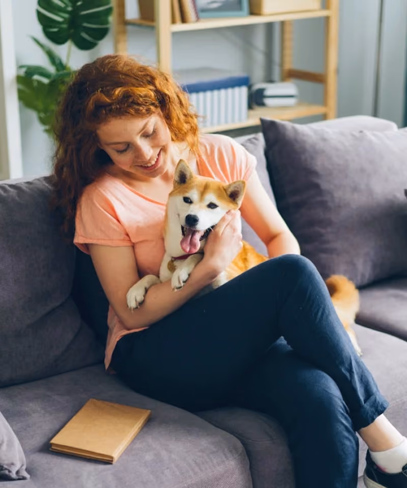 Assurances professionnelle garde d'animaux