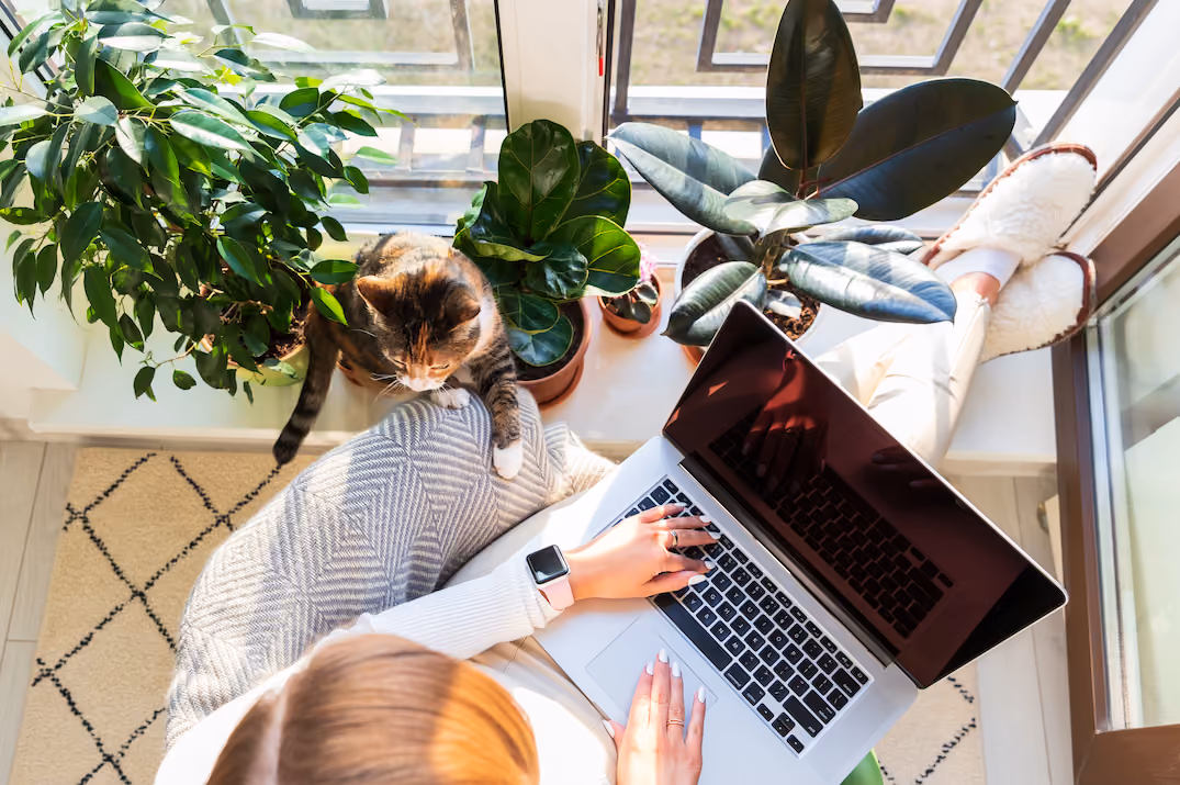 Ne pas travailler seul en indépendant