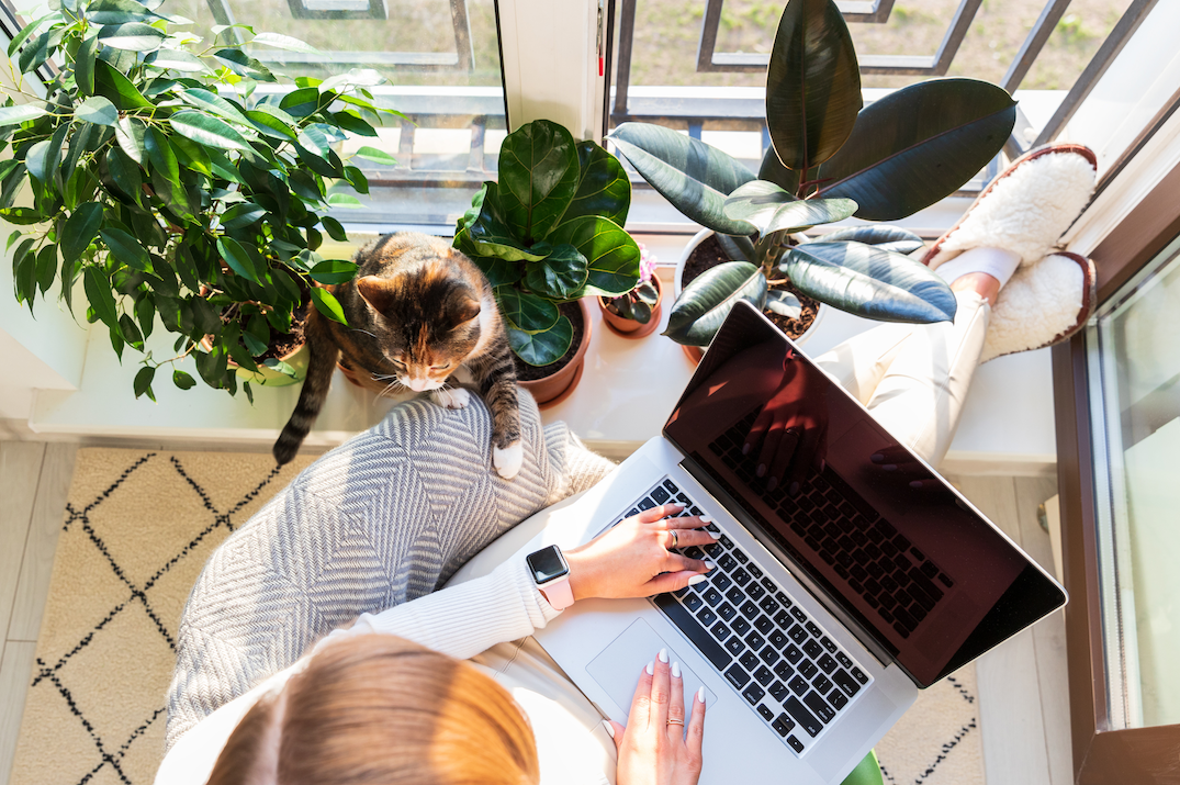 Ne pas travailler seul en indépendant