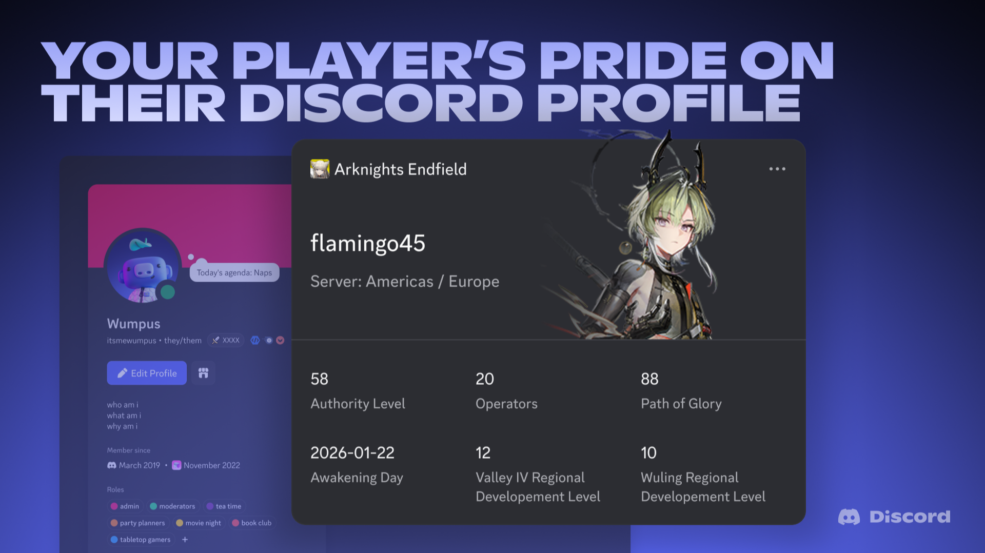A preview of the Arknights: Endfield Game Stats Widget within Discord.